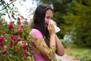 Tackling Hayfever